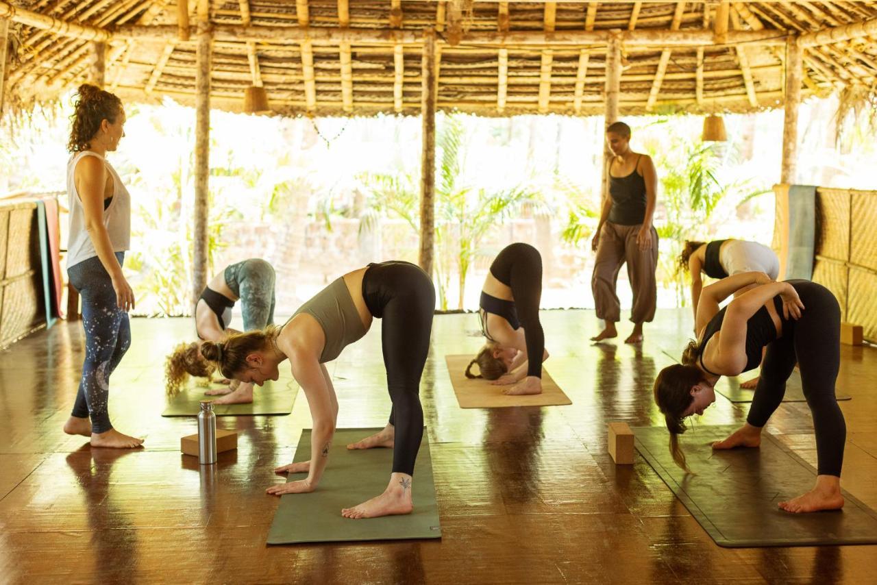 Palm Trees Ayurvedic Heritage Патнэм Экстерьер фото