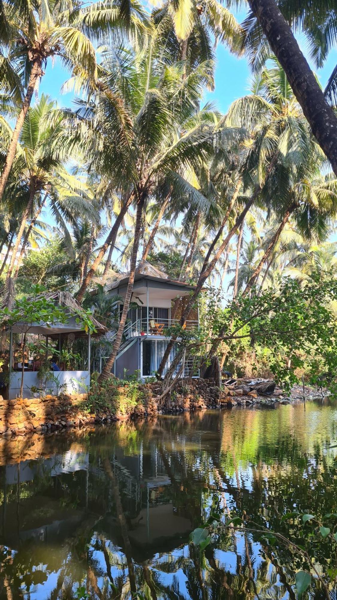 Palm Trees Ayurvedic Heritage Патнэм Экстерьер фото