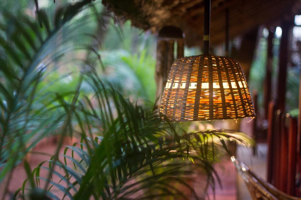 Palm Trees Ayurvedic Heritage Патнэм Экстерьер фото