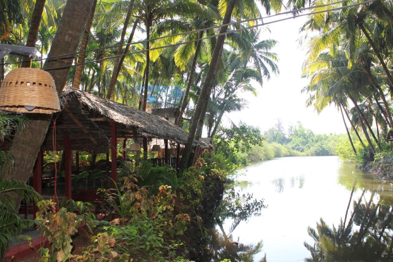 Palm Trees Ayurvedic Heritage Патнэм Экстерьер фото